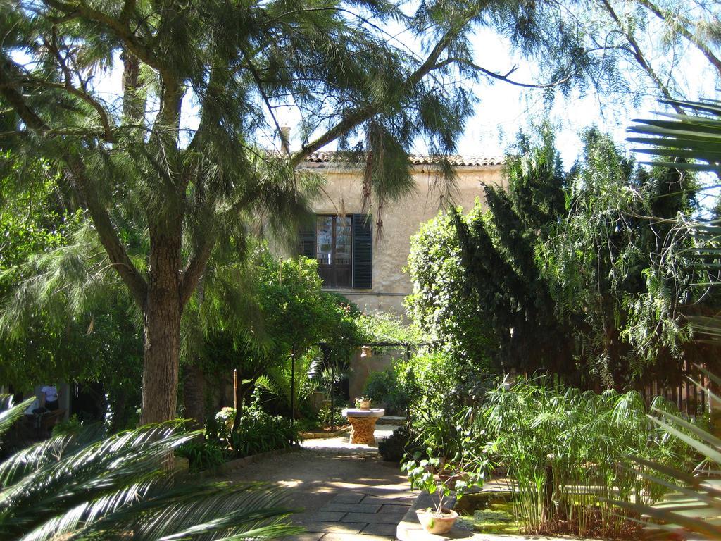 Finca Raims Альгайда Экстерьер фото